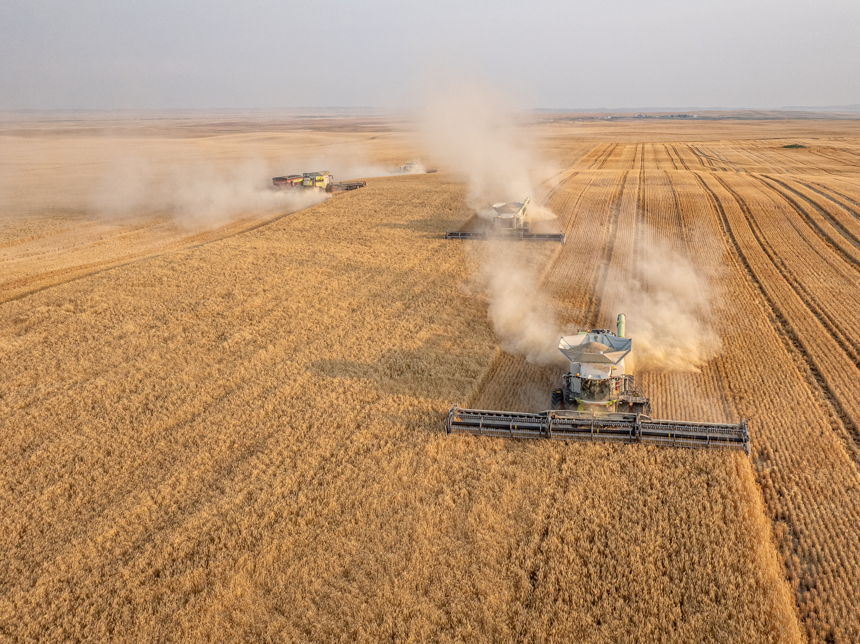 kws-seeds-rye-harvest-drone_0068.jpg
