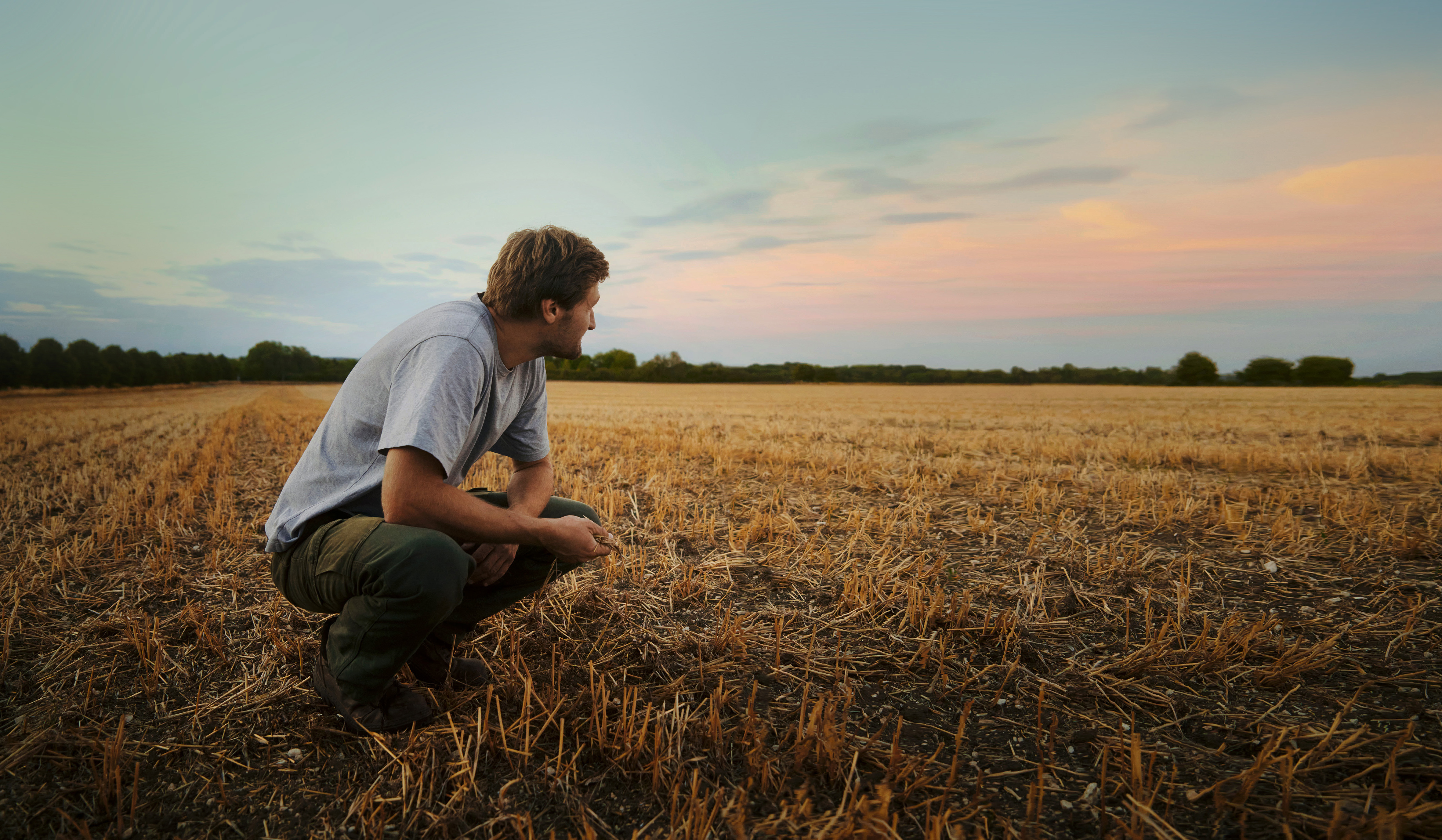 Man on harvested field