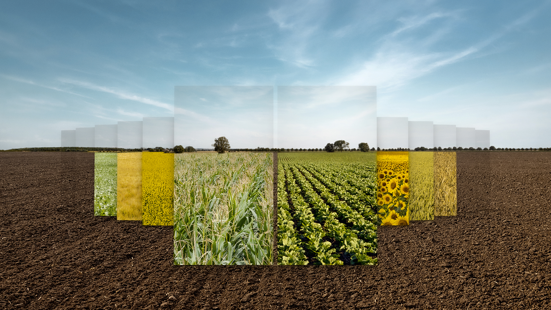 cc-campaign_landscape_flatland_2-6-crops_cymk_ua_16x9.png